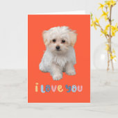 Niedliche Welpenkarte, ich Liebe Sie, bezaubernde  Karte (Gelbe Blume)