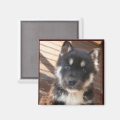 Niedliche Welpenmagnete Magnet (Vorderseite/Rückseite)