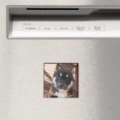 Niedliche Welpenmagnete Magnet (In Situ (Geschirrspüler))