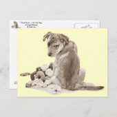 Niedliche Welpenmischrasse mit Teddy-Hund-Realisti Postkarte (Vorne/Hinten)