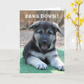 Niedliche Welpenpferde Vatertagskarte Karte (Gelbe Blume)