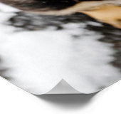 Niedliche Welpensuche Poster (Ecke)