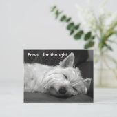 Niedliche Westie Postkarten (Stehend Vorderseite)