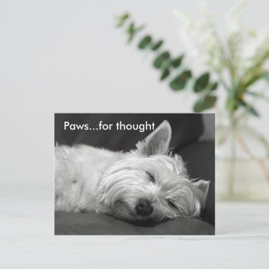 Niedliche Westie Postkarten (Stehend Vorderseite)