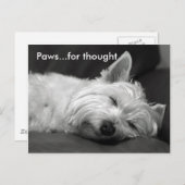 Niedliche Westie Postkarten (Vorne/Hinten)