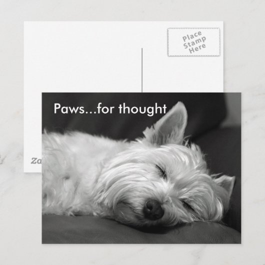 Niedliche Westie Postkarten (Vorne/Hinten)