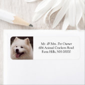 Niedliche White Dog Address Mailing Labels Sticker (Insitu)