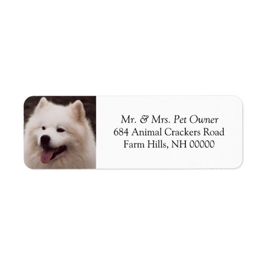Niedliche White Dog Address Mailing Labels Sticker (Vorne)