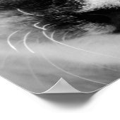 Niedliche White Kitten mit blauen Augen Poster (Ecke)