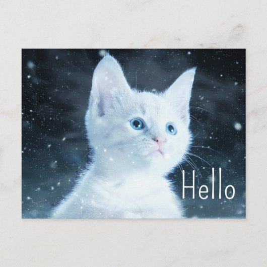 Niedliche White Kitten mit Hübschen blauen Augen H Postkarte (Vorderseite)