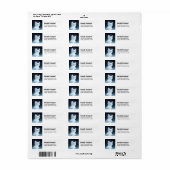 Niedliche White Kitten mit Hübschen Blue Eyes (Vorne)