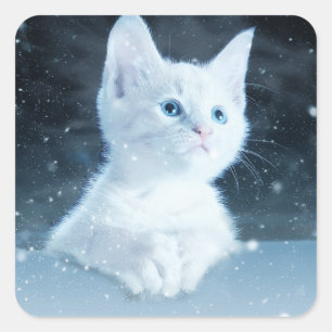 Niedliche White Kitten mit Hübschen Blue Eyes Quadratischer Aufkleber