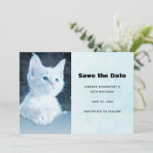Niedliche White Kitten mit Hübschen Blue Eyes Save The Date (Stehend Vorderseite)