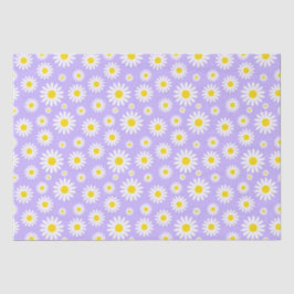 Niedliche White Spring Daisies zu Lila Seidenpapier