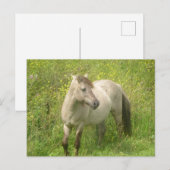 Niedliche Wild Horse DIY Postkarte (Vorne/Hinten)