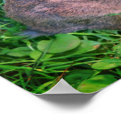 Niedliche Wildbraun-Kaninchen Poster (Ecke)