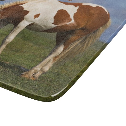 Niedliche Wildpony auf Dartmoor Schneidebrett (Ecke)