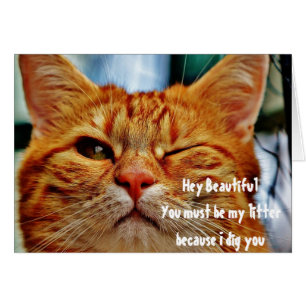Niedliche Winking Cat Liebe Flirt Pick Up Line Fun