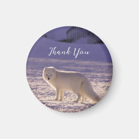 Niedliche Winterfotografie des Schneefräses Magnet (Vorne)