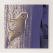 Niedliche Winterfotografie des Schneefräses Puzzle (Horizontal)