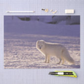 Niedliche Winterfotografie des Schneefräses Seidenpapier (Handwerk)