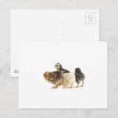 niedliche Wirbelsäule Postkarte (Vorne/Hinten)