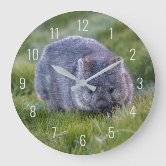 Niedliche Wombat Wildtiere Australien Große Wanduhr (Vorderseite)