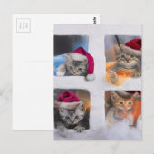 Niedliche X-mas-Kätzchen in Windows Postkarte (Vorne/Hinten)