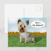 Niedliche Yorkie mit Sonnenblumen Postkarte (Vorne/Hinten)