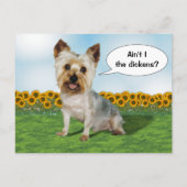 Niedliche Yorkie mit Sonnenblumen Postkarte (Vorderseite)