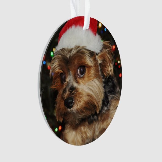 Niedliche Yorkie mit Weihnachtsmannmütze Ornament (Vorderseite)