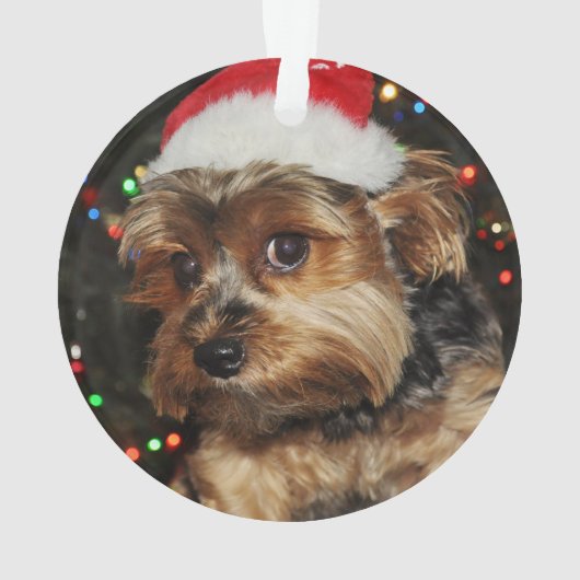 Niedliche Yorkie mit Weihnachtsmannmütze Ornament (Rückseite)