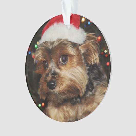 Niedliche Yorkie mit Weihnachtsmannmütze Ornament (Vorderseite)