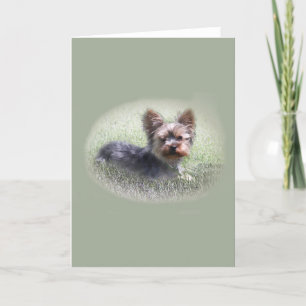 Niedliche Yorkie Terrier Buddy Custom Grußkarte Karte