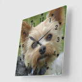 Niedliche Yorkie-Uhr Quadratische Wanduhr (Winkel)