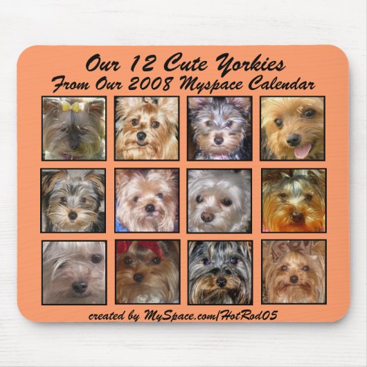 NIEDLICHE YORKIES 2008 APRIKOSE MOUSEPAD (Vorne)