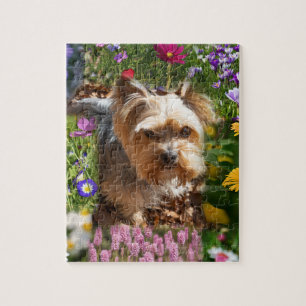 Niedliche Yorkshire Terrier Welpe & farbige Blume Puzzle