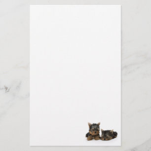 Niedliche Yorkshire Terrier Welpen Briefpapier