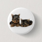 Niedliche Yorkshire Terrier Welpen Button (Vorderseite)