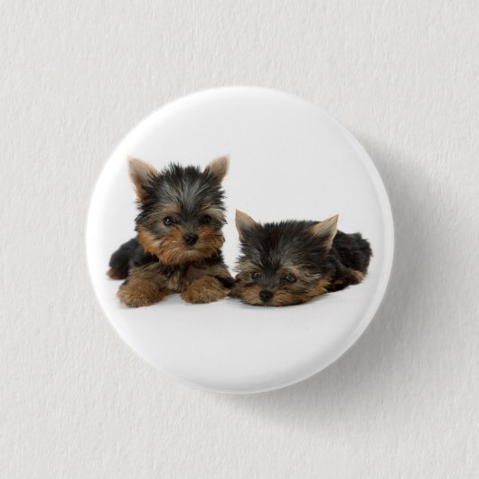 Niedliche Yorkshire Terrier Welpen Button (Vorderseite)