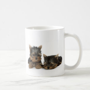 Niedliche Yorkshire Terrier Welpen Kaffeetasse