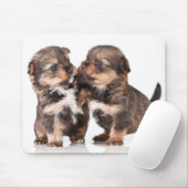 Niedliche Yorkshire-Terrier-Welpen Mousepad (Mit Mouse)