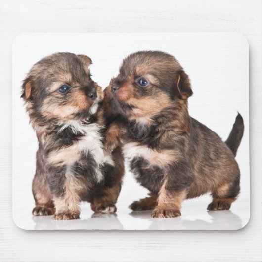 Niedliche Yorkshire-Terrier-Welpen Mousepad (Vorne)