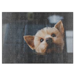 Niedliche Yorkshire Terrier Welppy Doppy Cutting B Schneidebrett