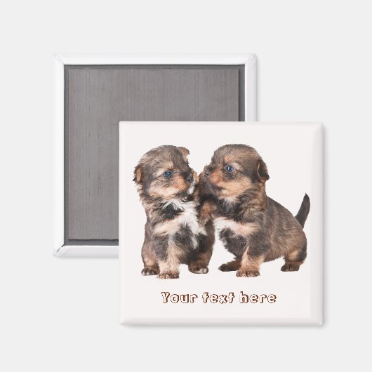 Niedliche Yorkshire-Welpen Magnet (Vorderseite/Rückseite)