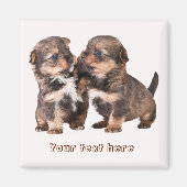 Niedliche Yorkshire-Welpen Magnet (Vorne)