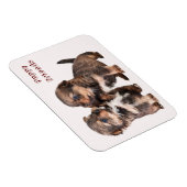 Niedliche Yorkshire-Welpen Magnet (Rechte Seite)
