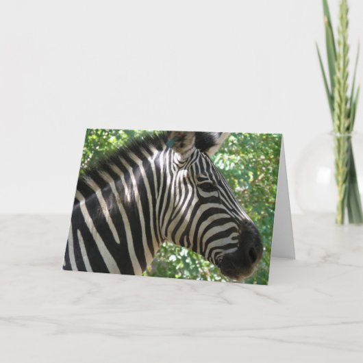 Niedliche Zebra-Grußkarte Karte (Vorderseite)