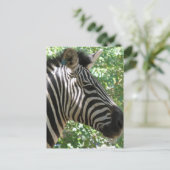 Niedliche Zebra Postkarte (Stehend Vorderseite)