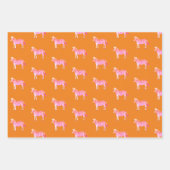 Niedliche Zebras-Farbe Geschenkpapier Set (Vorderseite)